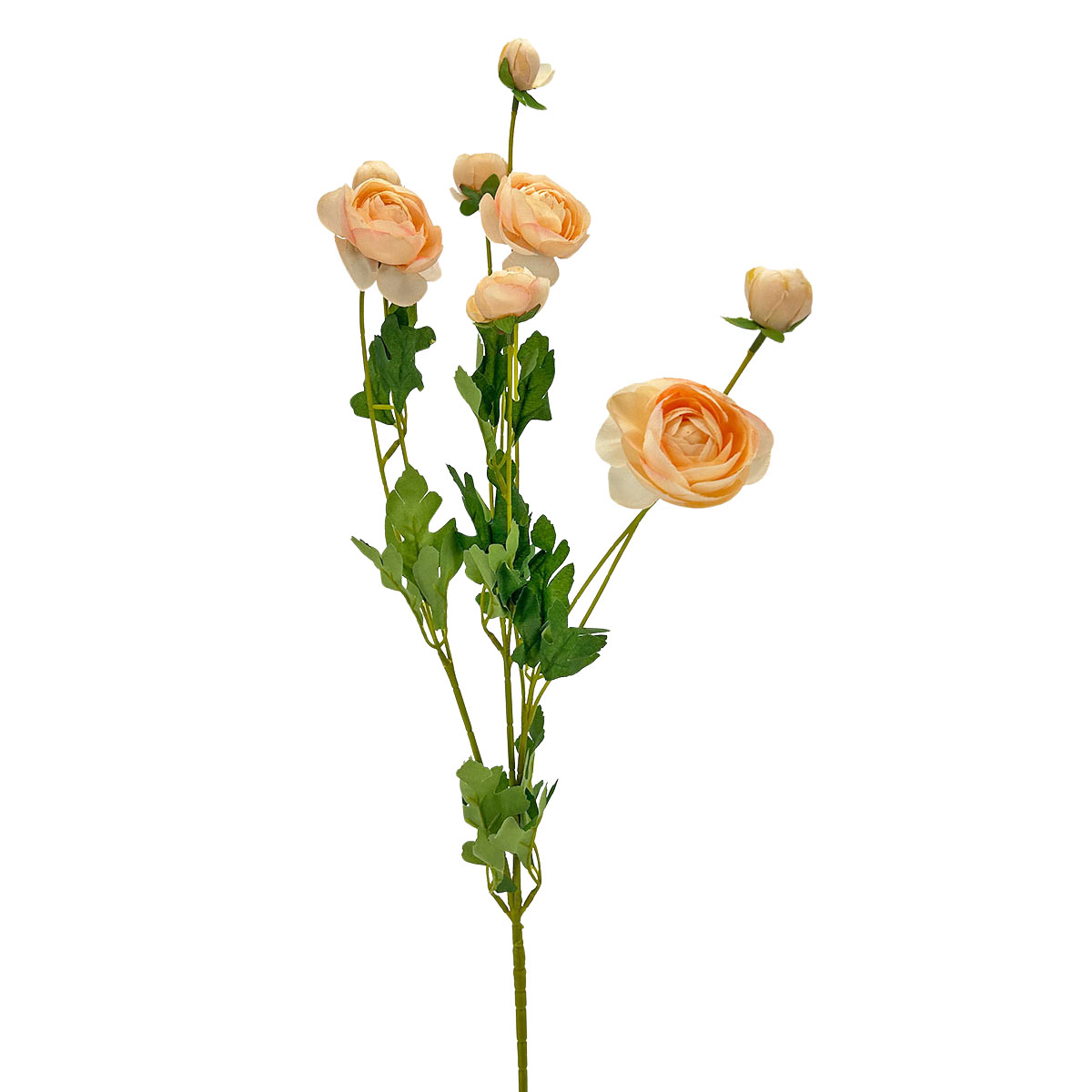 IMG_9527 GNW Light Orange Artificial 8-head Ranunculus WX-31 - Image 1