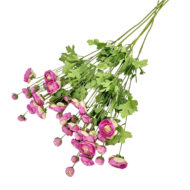 GNW Fuchsia Artificial 8-head Ranunculus WX-34 - Image 2