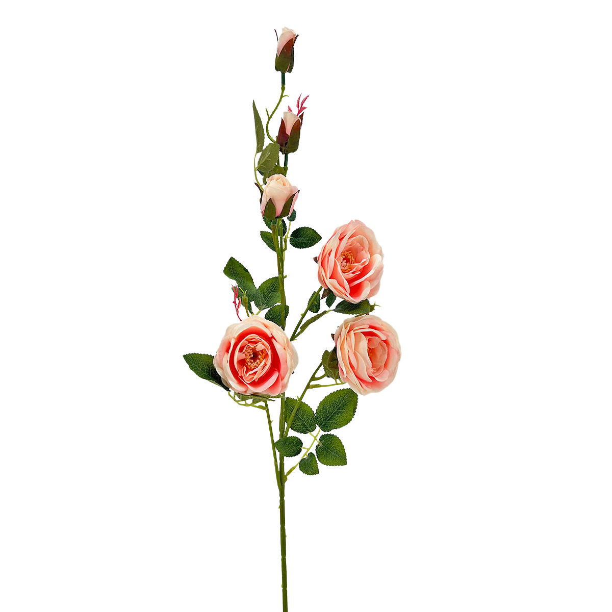 IMG_9539 GNW Pink Artificial 6-head Garden Rose Silk WX-13 - Image 1