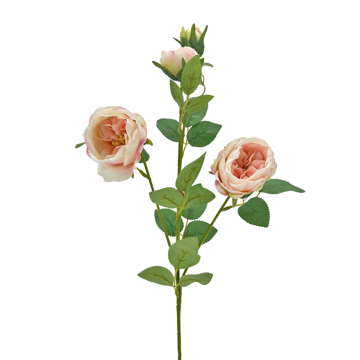 IMG_9582 GNW Light Pink Artificial David Austin Rose Silk WX-71 - Image 1