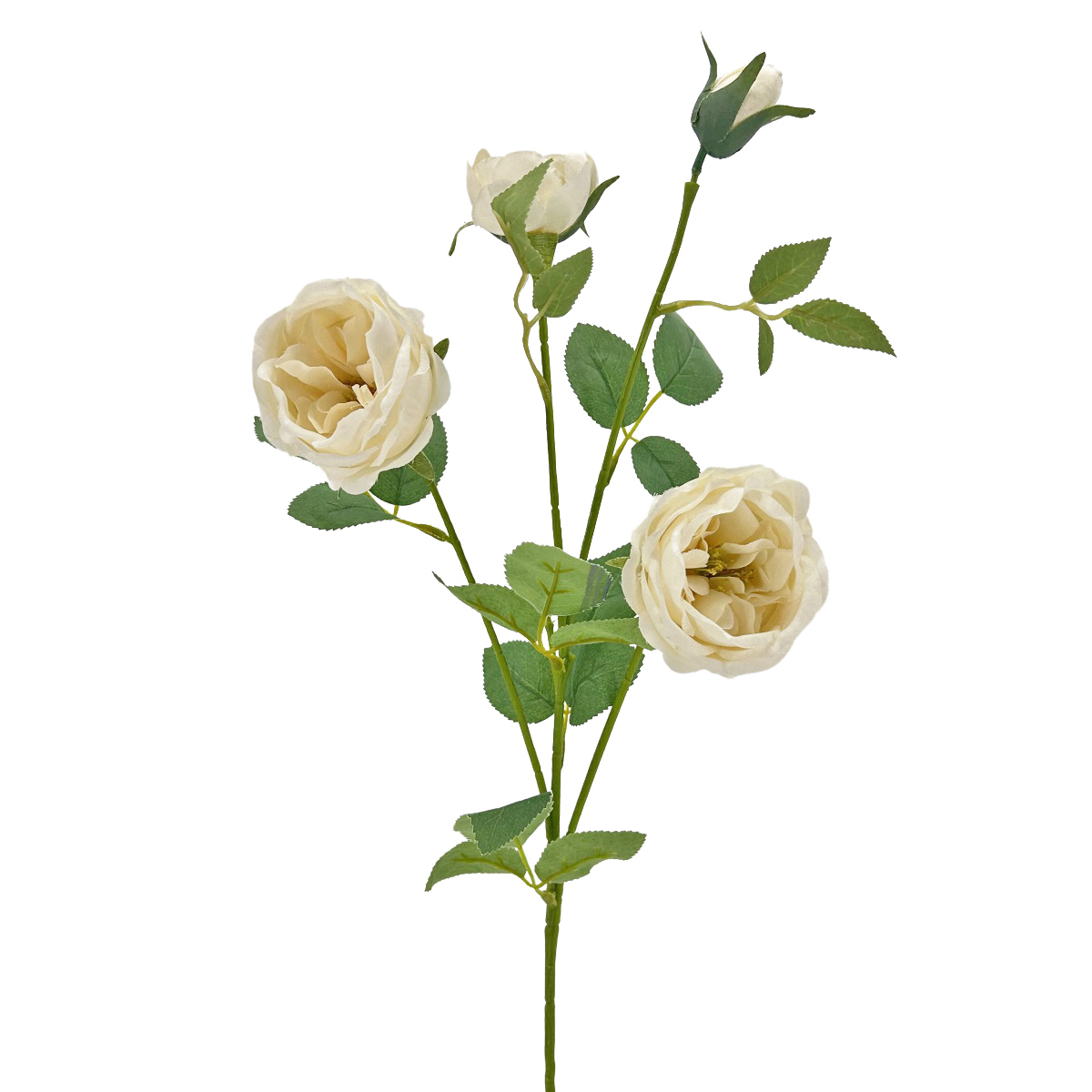 IMG_9587 GNW White Artificial David Austin Rose Silk WX-70 - Image 1