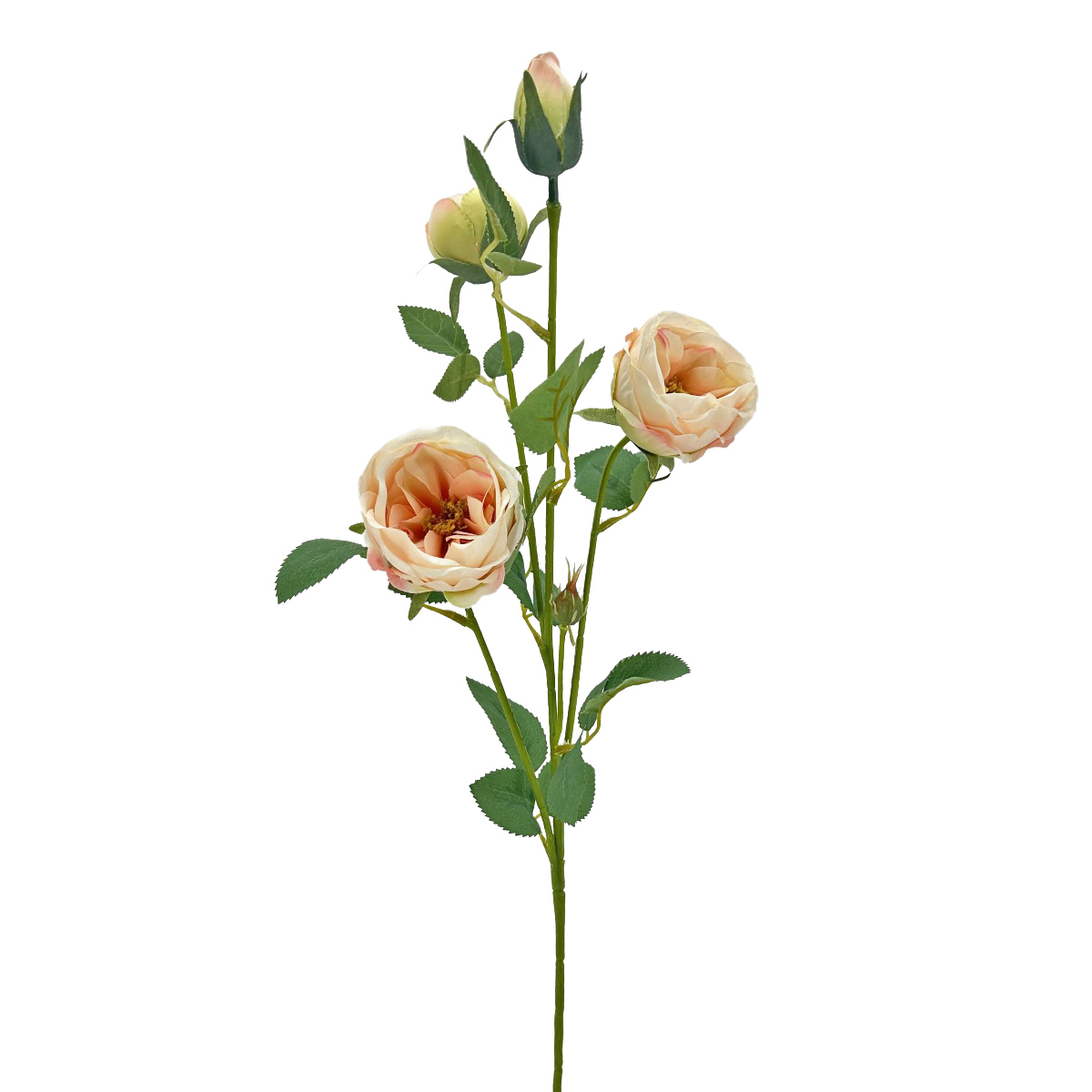 IMG_9591 GNW Pink Artificial David Austin Rose Silk WX-72 - Image 1