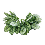 GNW Green Artificial Pteris Leaf LZ-135 - Image 2