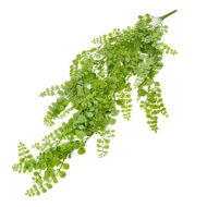 GNW Green Artificial Beans Grass LZ-141 - Image 2