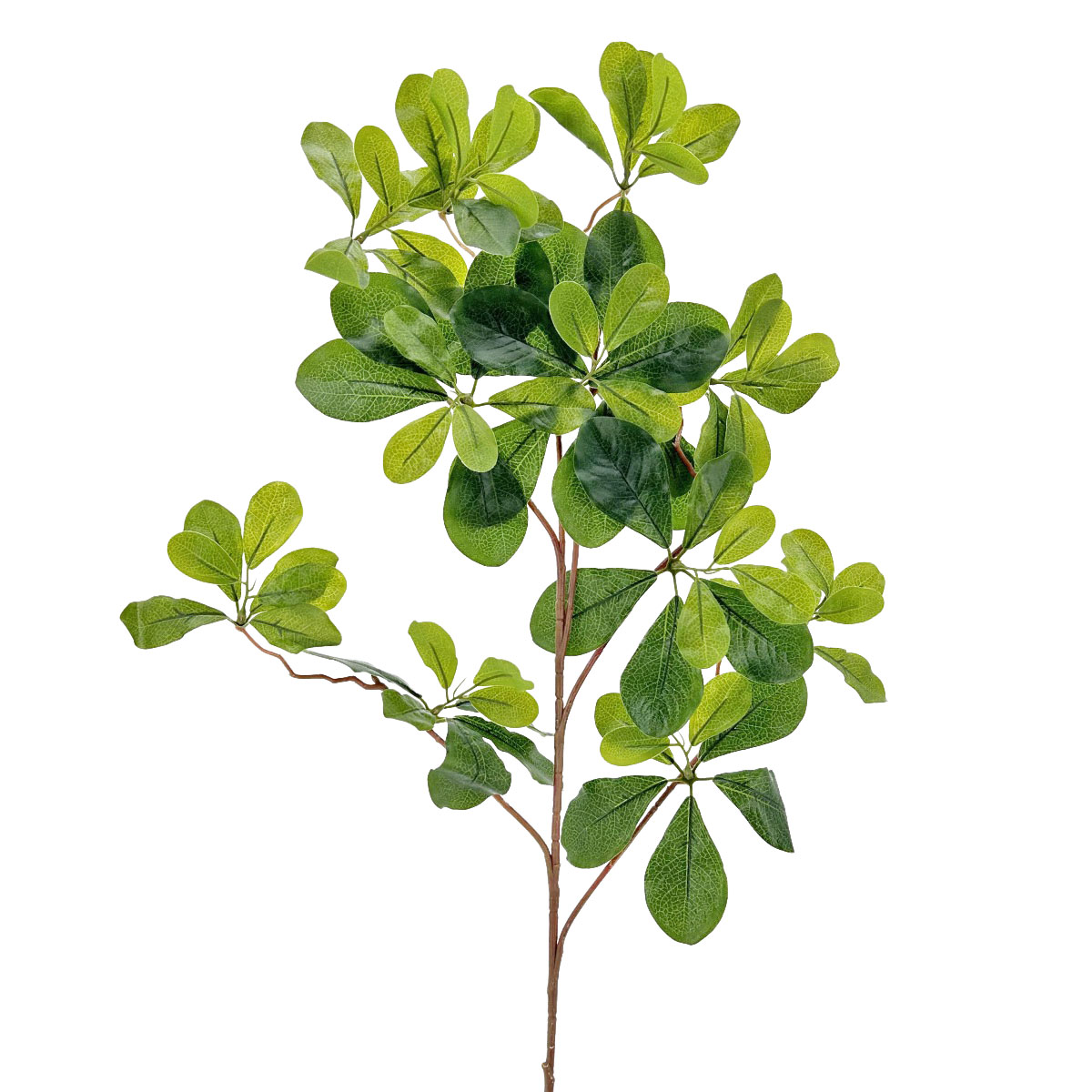 IMG_9705 GNW Gary Green Artificial Money Ficus Leaf LZ-102 - Image 1