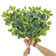 GNW Gary Green Artificial Money Ficus Leaf LZ-102 - Image 3
