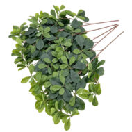 GNW Gary Green Artificial Money Ficus Leaf LZ-102 - Image 2