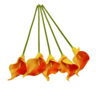 GNW Orange Artificial Calla Lily LZ-250 - Image 2