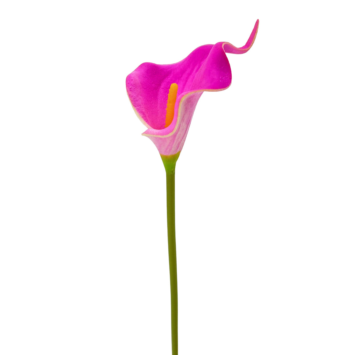 IMG_9832 GNW Fuchsia Artificial Calla Lily LZ-247 - Image 1