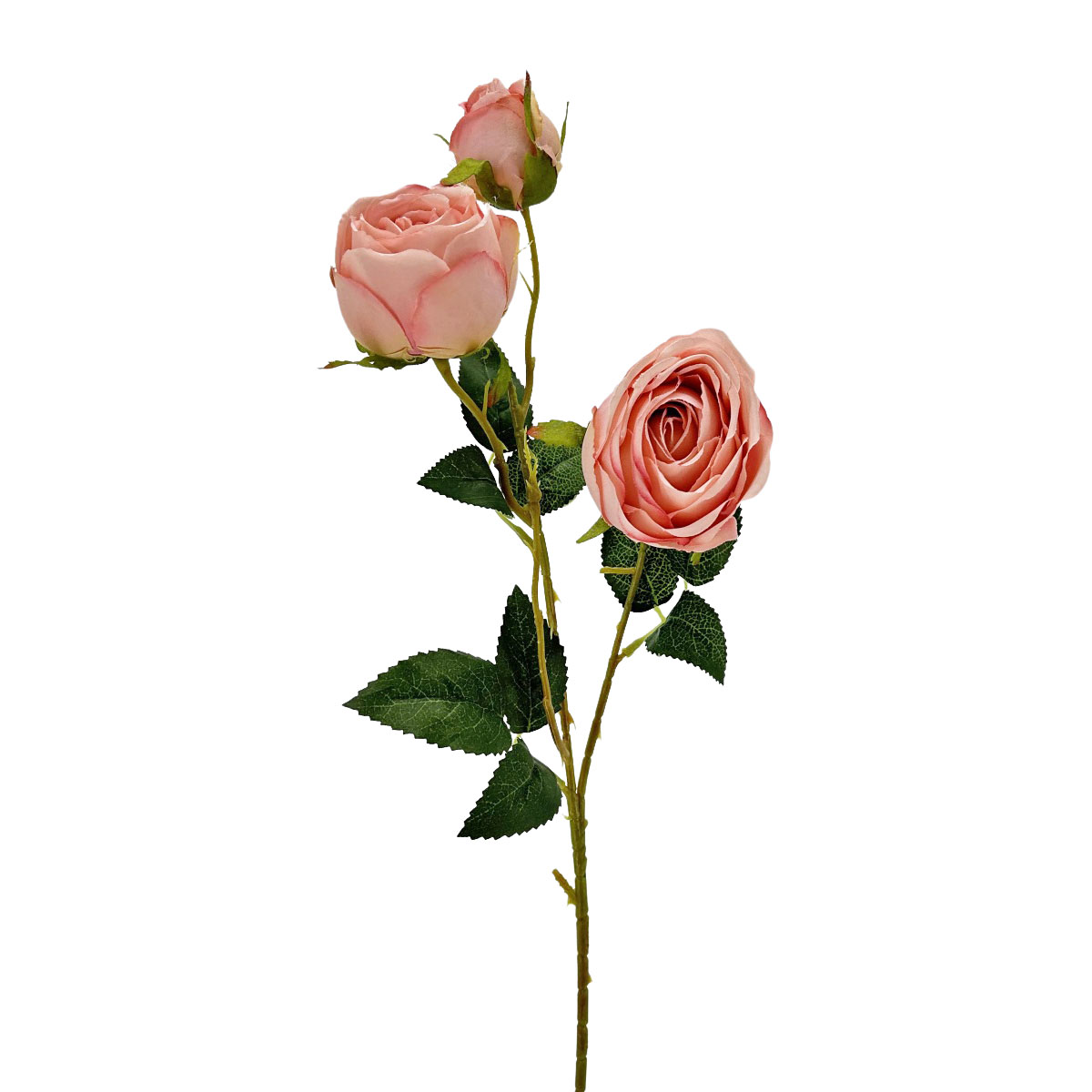 IMG_9860 GNW Pink Artificial Empress Rose Silk MY-06 - Image 1