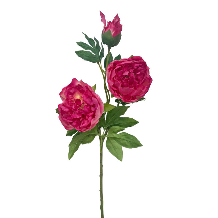 GNW Fuchsia Artificial 3-head Garden Rose Real Touch QH-116 - Image 7