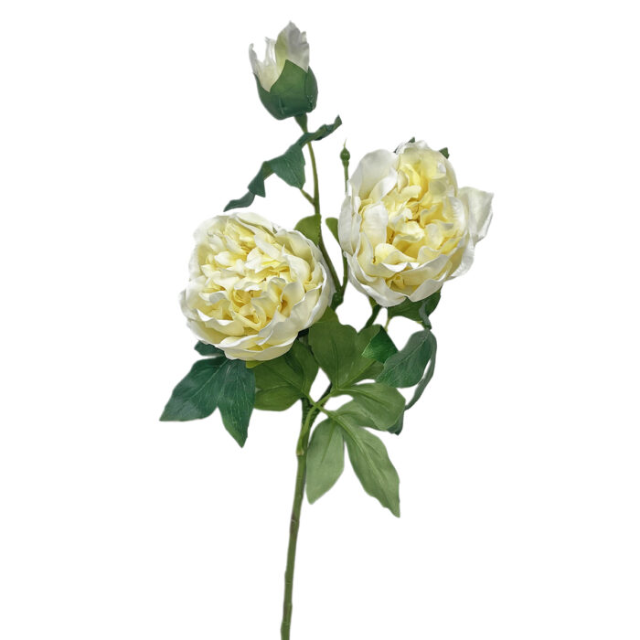 GNW Fuchsia Artificial 3-head Garden Rose Real Touch QH-116 - Image 6