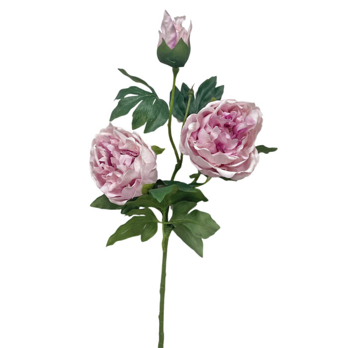 GNW Fuchsia Artificial 3-head Garden Rose Real Touch QH-116 - Image 5