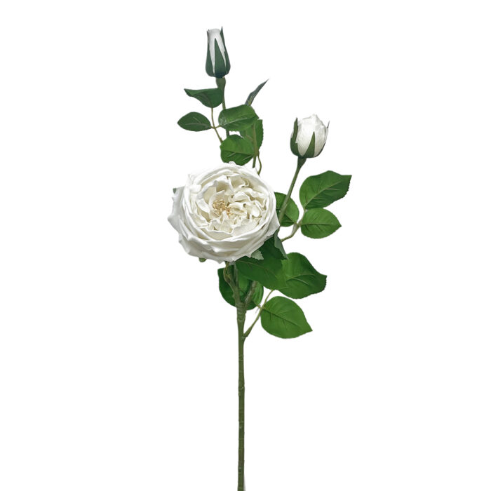 GNW Yellow Artificial David Austin Rose Real Touch QH-99 - Image 6
