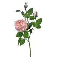 GNW Yellow Artificial David Austin Rose Real Touch QH-99 - Image 3