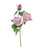 GNW Fuchsia Artificial 3-head Garden Rose Real Touch QH-116 - Image 4