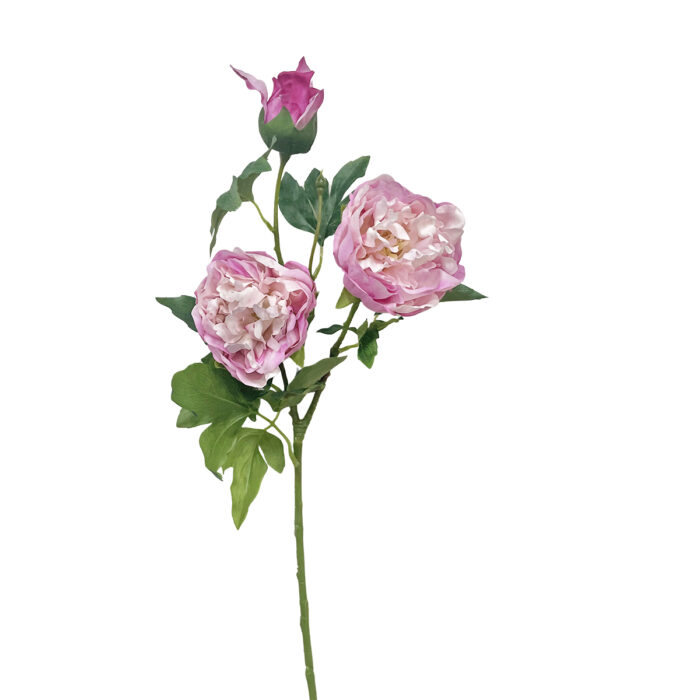 GNW Fuchsia Artificial 3-head Garden Rose Real Touch QH-116 - Image 4