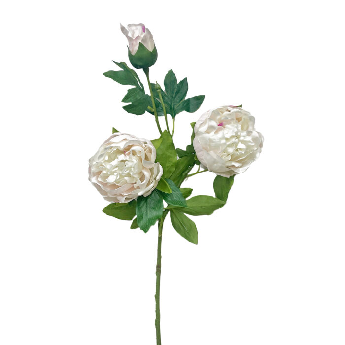 GNW Fuchsia Artificial 3-head Garden Rose Real Touch QH-116 - Image 3