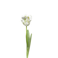 GNW White Artificial Tulips Silk GJY-01