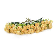 GNW Champagne Artificial Camellia Spray Roses TN-35 - Image 3