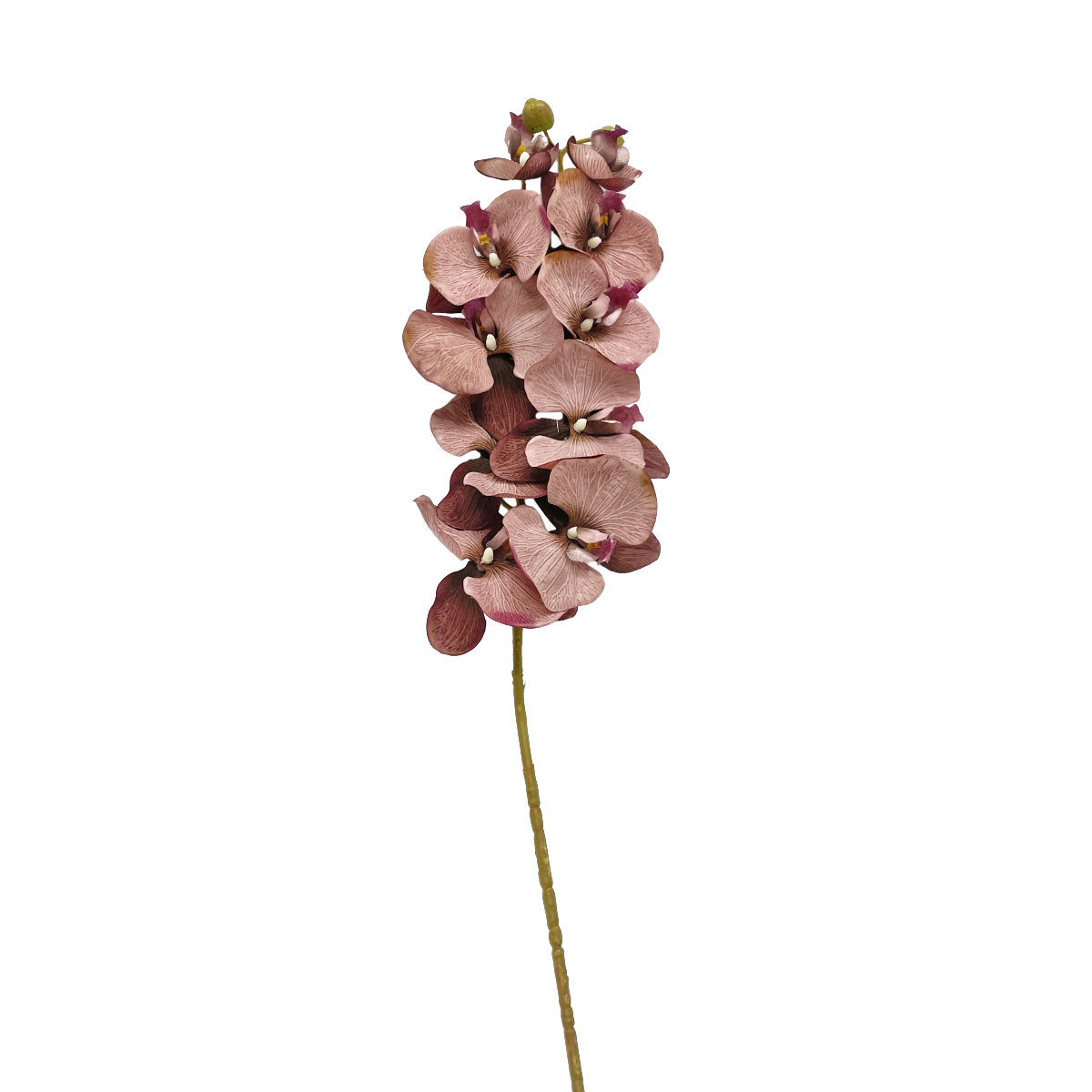 IMG_5566 GNW Brown Artificial Orchids HDX-31 - Image 1