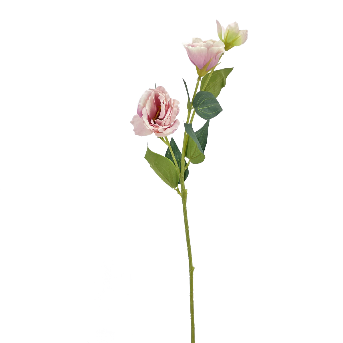 IMG_7165 GNW Pink Purple Artificial Eustoma Rose Silk LRX-58 - Image 1