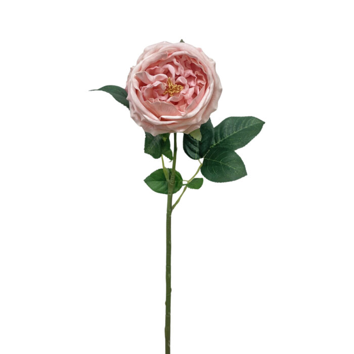 GNW Pink Artificial Austin Rose Real Touch QH-90 - Image 2