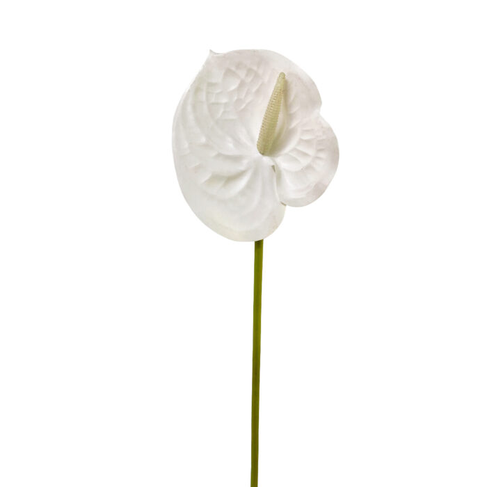 GNW Fuchsia Artificial Anthurium SM-05 - Image 7