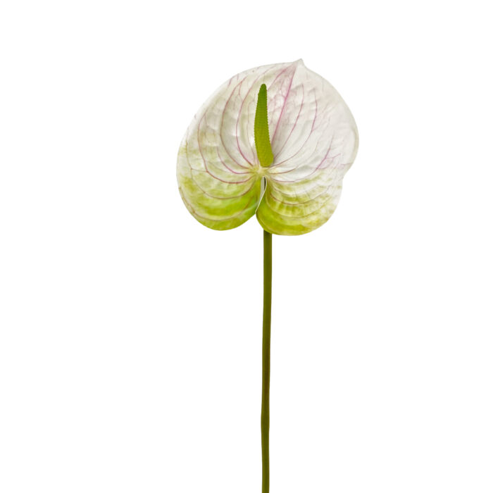GNW Fuchsia Artificial Anthurium SM-05 - Image 6