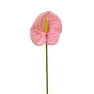 GNW Fuchsia Artificial Anthurium SM-05 - Image 5
