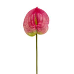GNW Fuchsia Artificial Anthurium SM-05
