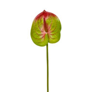 GNW Fuchsia Artificial Anthurium SM-05 - Image 4