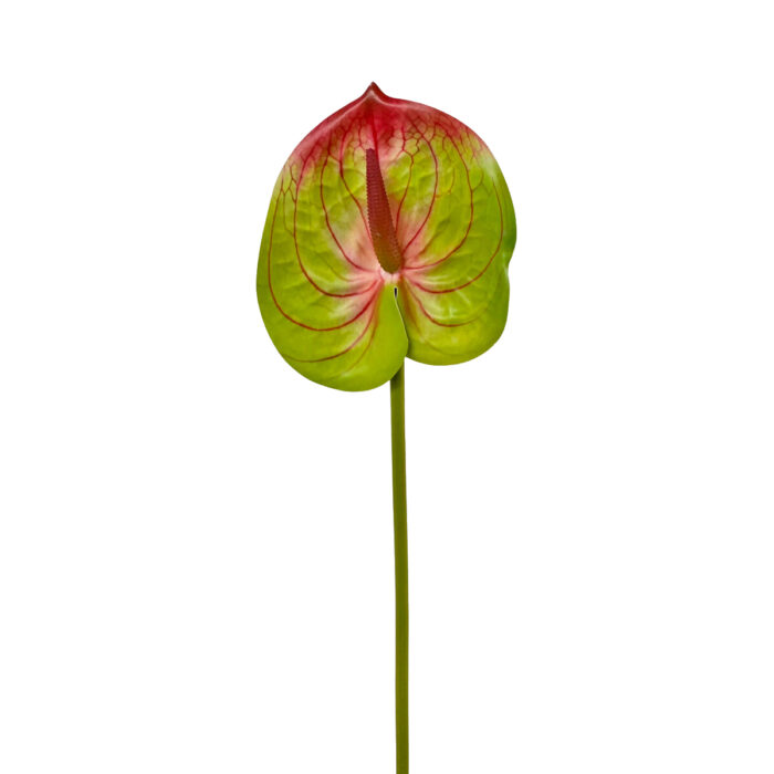 GNW Fuchsia Artificial Anthurium SM-05 - Image 4