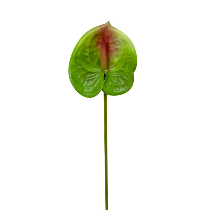 GNW Fuchsia Artificial Anthurium SM-05 - Image 10