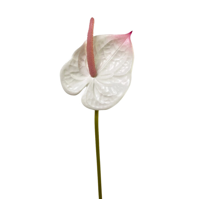 GNW Gradient Pink Artificial Anthurium Real Touch XS-35 - Image 10