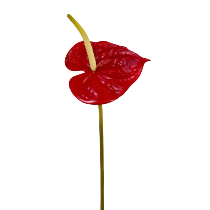 GNW Gradient Pink Artificial Anthurium Real Touch XS-35 - Image 8