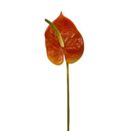 GNW Gradient Pink Artificial Anthurium Real Touch XS-35 - Image 7