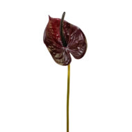 GNW Gradient Pink Artificial Anthurium Real Touch XS-35 - Image 6
