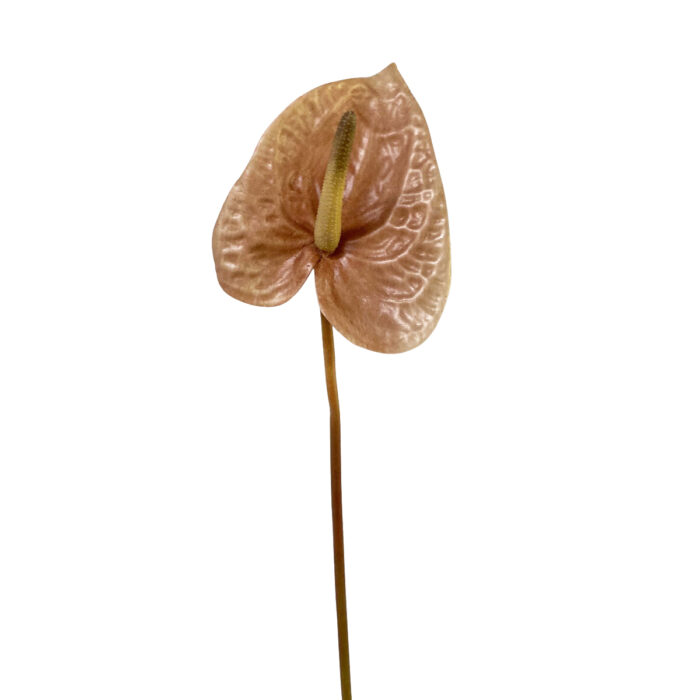 GNW Gradient Pink Artificial Anthurium Real Touch XS-35 - Image 4