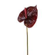 GNW Gradient Pink Artificial Anthurium Real Touch XS-35 - Image 3