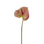 GNW Gradient Pink Artificial Anthurium Real Touch XS-35
