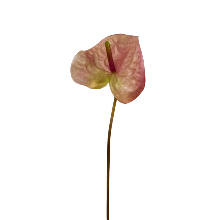 GNW Gradient Pink Artificial Anthurium Real Touch XS-35 - Image 2