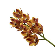 GNW Brown Artificial 8-head Cymbidium Hybrid‌ HD-17 - Image 2