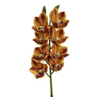 GNW Brown Artificial 8-head Cymbidium Hybrid‌ HD-17