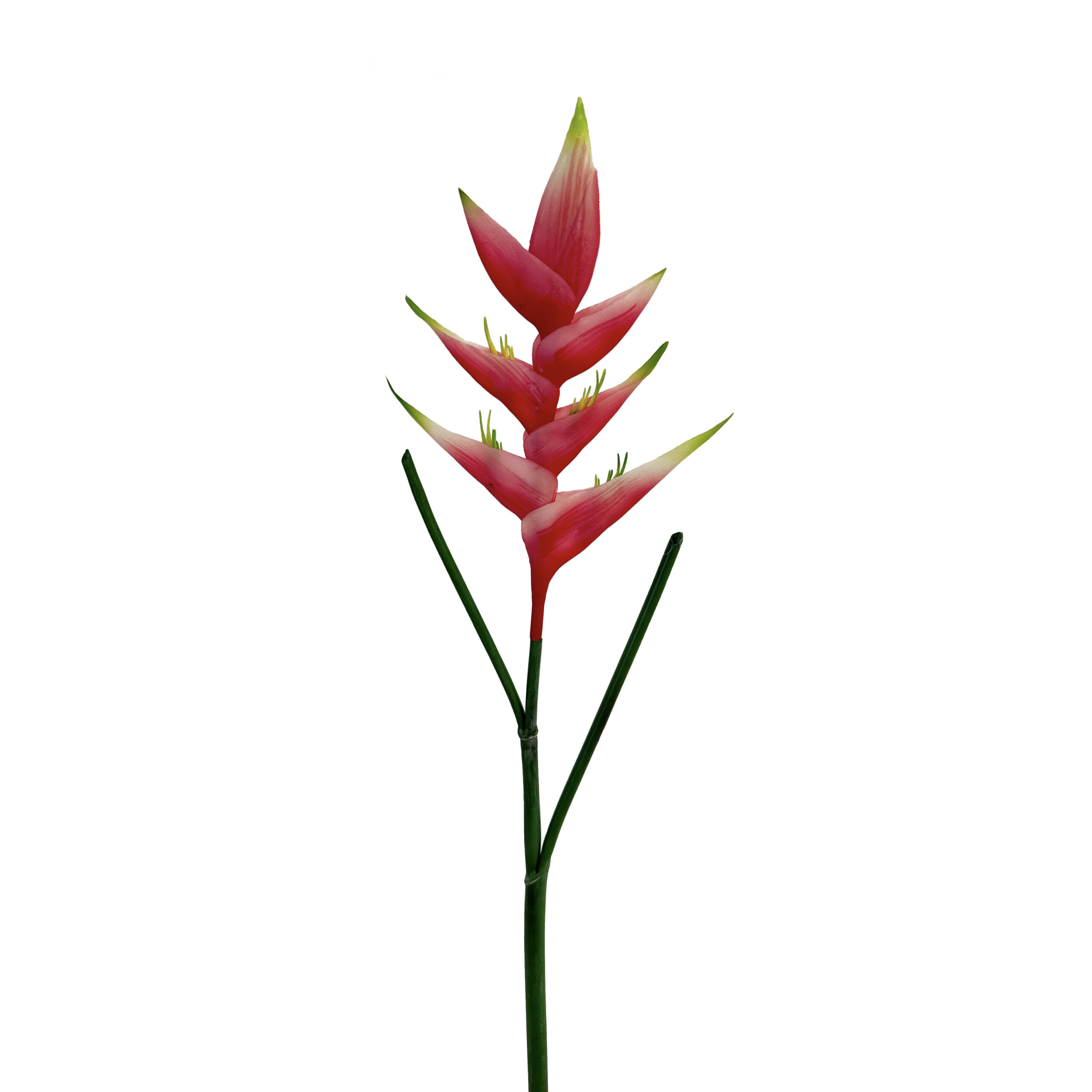 15 GNW Dark Pink Artificial Bird Of Paradise Heliconia Flower HD-19 - Image 1