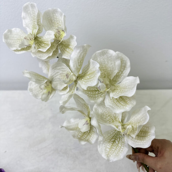 GNW White Artificial Orchids Real Touch XS-37 - Image 2