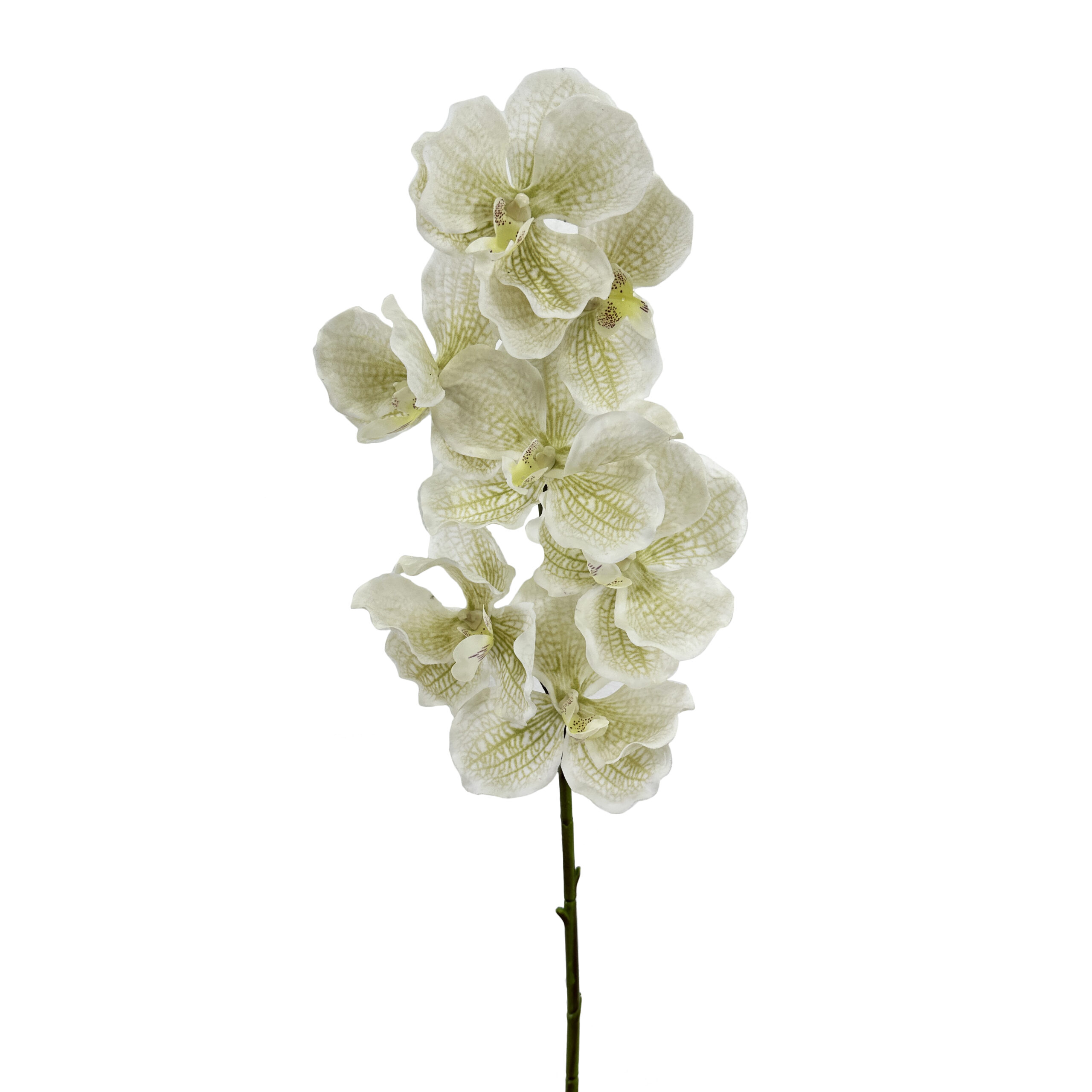 2 GNW White Artificial Orchids Real Touch XS-37 - Image 1