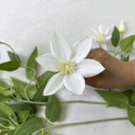 GNW White Artificial Clematis Lotus GYX-97 - Image 2