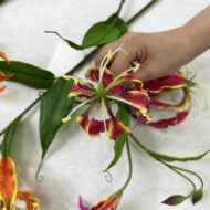 GNW Rose Red Artificial Gloriosa Lily Real Touch LZ-224-1 - Image 2