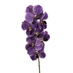 GNW Purple Artificial Orchids Real Touch